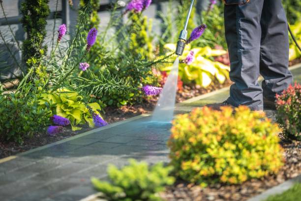  Firebaugh, CA Pressure Washing Pros